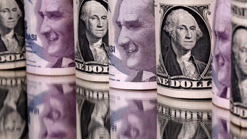dolar tl