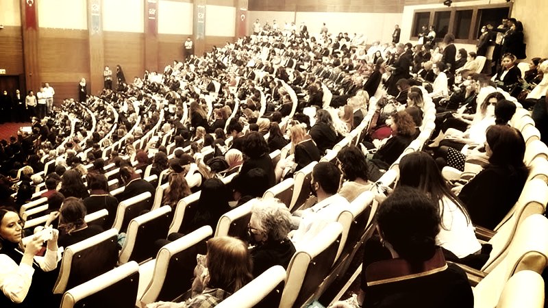 istanbul sözleşmesi danıştay