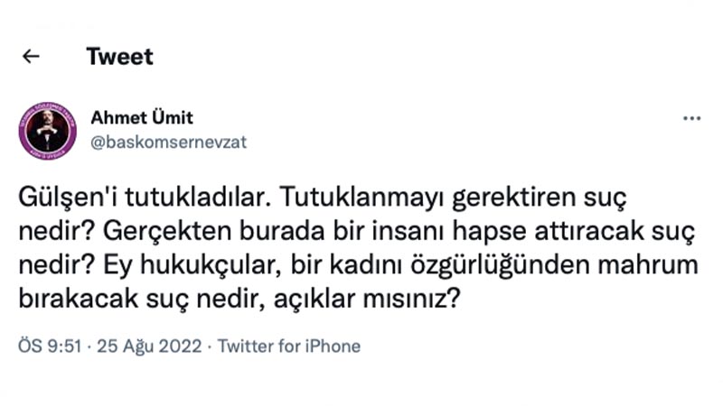Ahmet Ümit: Gülşen kendisine isnat edilen suçtan en yüksek cezayı alsa ve mahkeme hukuki hiçbir indirim uygulamasa bile hapis yatmayacaktı. Gülşen'i tutukladılar. Tutuklanmayı gerektiren suç nedir? Gerçekten burada bir insanı hapse attıracak suç nedir? Ey hukukçular, bir kadını özgürlüğünden mahrum bırakacak suç nedir, açıklar mısınız?