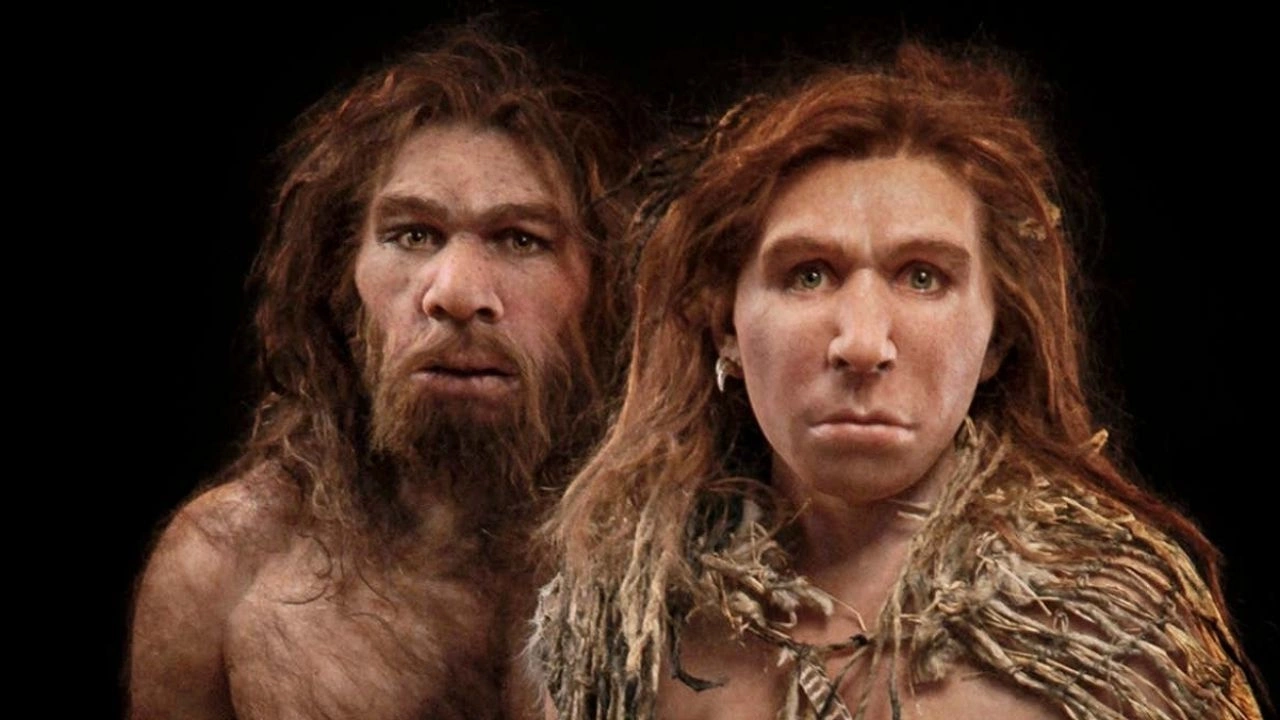 'Mağara insanı' da denilen Neandertal insan türünün 40 bin yıl önce soyunun tükendiği belirtiliyor. Bugünkü modern insanın ataları da (Homo sapiens) 60 bin yıl önce Afrika’dan Asya’ya ve oradan dünyaya yayılmış olduğu bilim insanları tarafından kabul ediliyor.