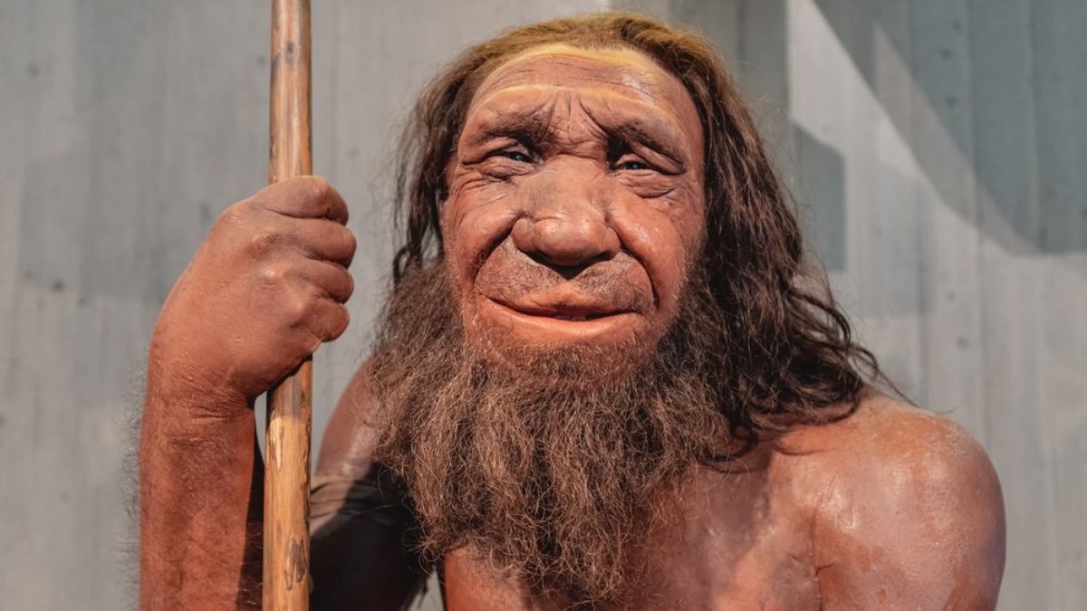 Homo sapiensler ile Neandertallerin 'çiftleştiği' ve böylece Neandertal DNA’sından yüzde 2’sinin bugünkü insanlara ulaştığı düşünülüyor. İngiltere’de görev yapan araştırmacı ve genetik mühendisi Şebnem Ünlüişler, Neandertal geni taşımanın 6 göstergesi olduğunu açıkladı. Londra merkezli Daily Mail gazetesine konuşan Ünlüişler, “Neandertal DNA’sı, modern insan genomunun yalnızca küçük bir yüzdesini temsil ediyor ve bu etkiler, her insanı benzersiz kılan genetik bulmacanın yalnızca bir parçası” dedi.