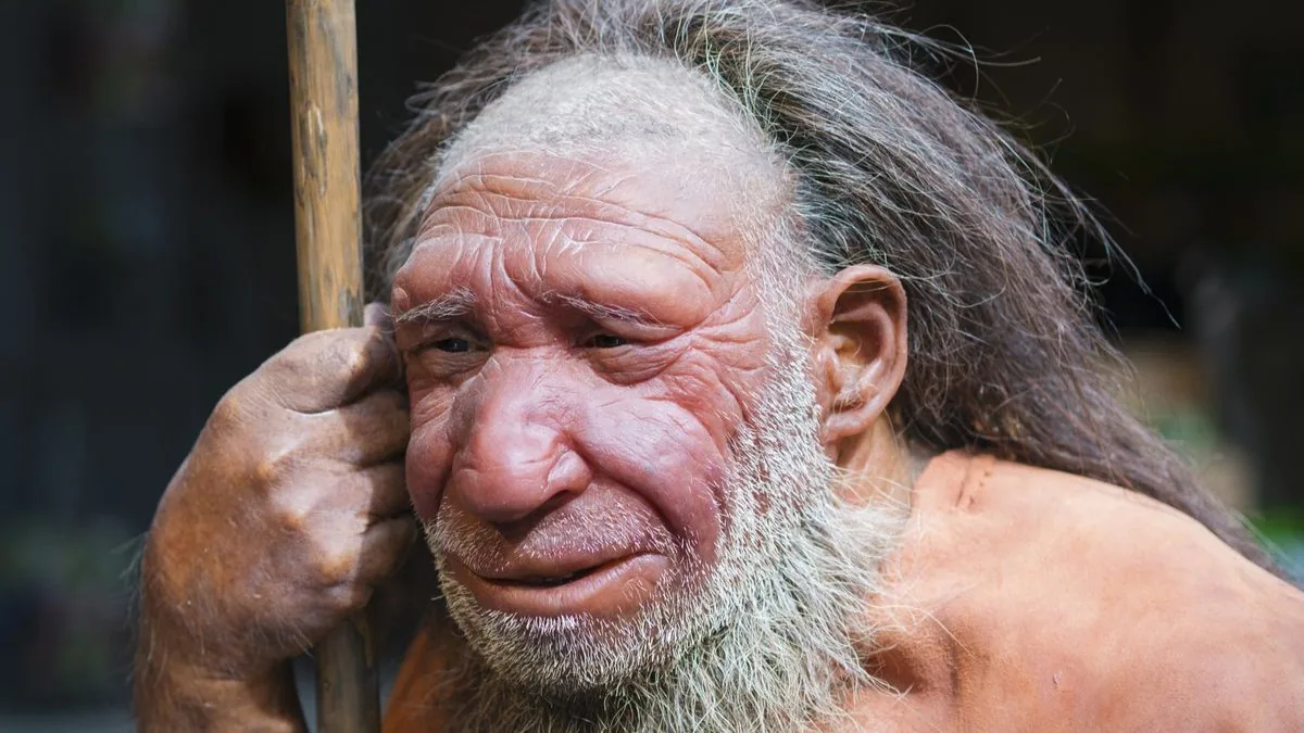 2. KALIN DÜZ SAÇ: Neandertal DNA’sı kalın ve düz saçlı kişilerde de bulunabilir. Neandertallerde kızıl saçla ilişkili genetik varyant da yüksekti.