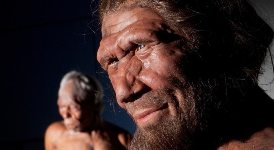 5. COVİD RİSKİ: Neandertal geni taşıyanların, akciğer sorunları da dahil Covid-19’a yakalanma riskinin daha yüksek olduğu ifade edildi. Tartu Üniversitesi, bu konuda Neandertal kökenli dört varyant tespit etti. Dört varyantın, şiddetli Kovid-19 vakalarında ‘Sitokin fırtınaları’na neden olduğu belirtildi.