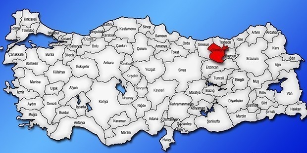 Gümüşhane | Kadın Aday: İrem Gamze Demirci (DSP) 