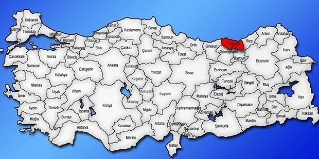 Trabzon | Kadın Adaylar: Bedriye Zırığ (DEM Parti) Hacer Efe (HKP) 