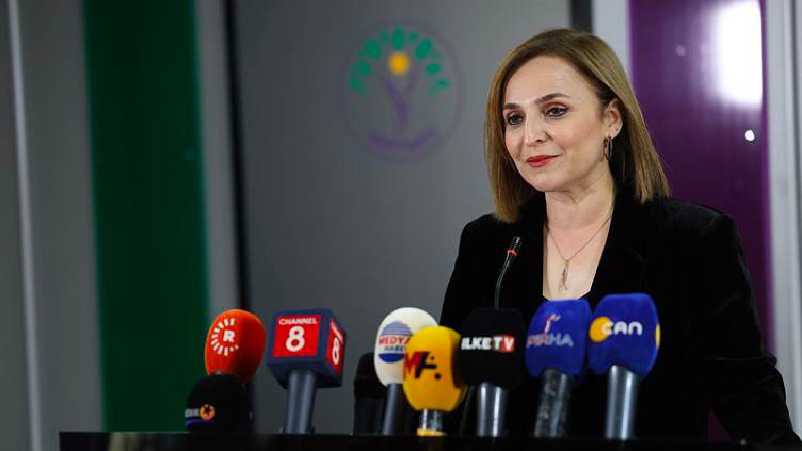 ayşegül doğan 