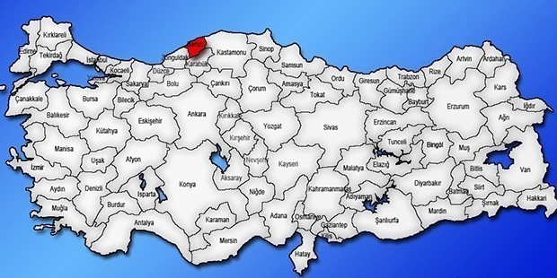 Bartın | Kadın Adaylar: Gürsel Gerin (HKP) Gülcan Karadaş (TKH) Yasemin Dora Kurtkaya (Gelecek Partisi) Nurhayat Akkuş (HAK-PAR)