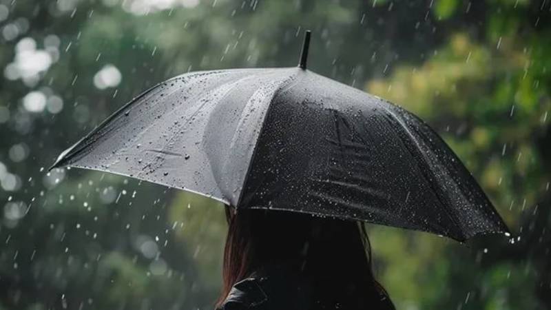 KUVVETLİ YAĞIŞ UYARISI: Yapılan son değerlendirmelere göre; Trabzon'un doğusu, Rize çevreleri ile Artvin'in kuzey ve doğusunda kuvvetli (21-50 kg/m2) yağmur, 700 metre rakım üzeri yüksek kesimlerde kuvvetli ve yer yer yoğun (20 cm üzeri) kar yağışı beklendiğinden ulaşımda aksamalar, heyelan, su baskını, yükseklerde buzlanma, don ve çığ gibi olumsuzluklara karşı dikkatli ve tedbirli olunmalıdır.