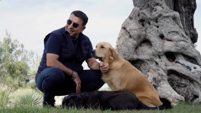 Bir köpek, bir fotoğraf ve içimizdeki öfke